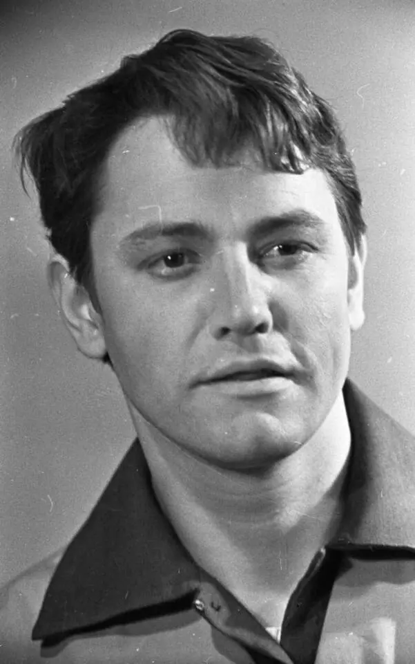 Владимир Земляникин, Артист